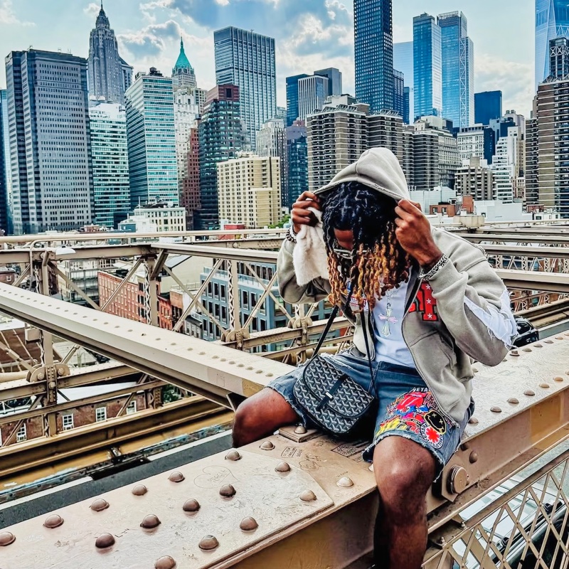 Goyard戈雅Belvedere黑色老花拼皮銀扣郵差包🌚-27