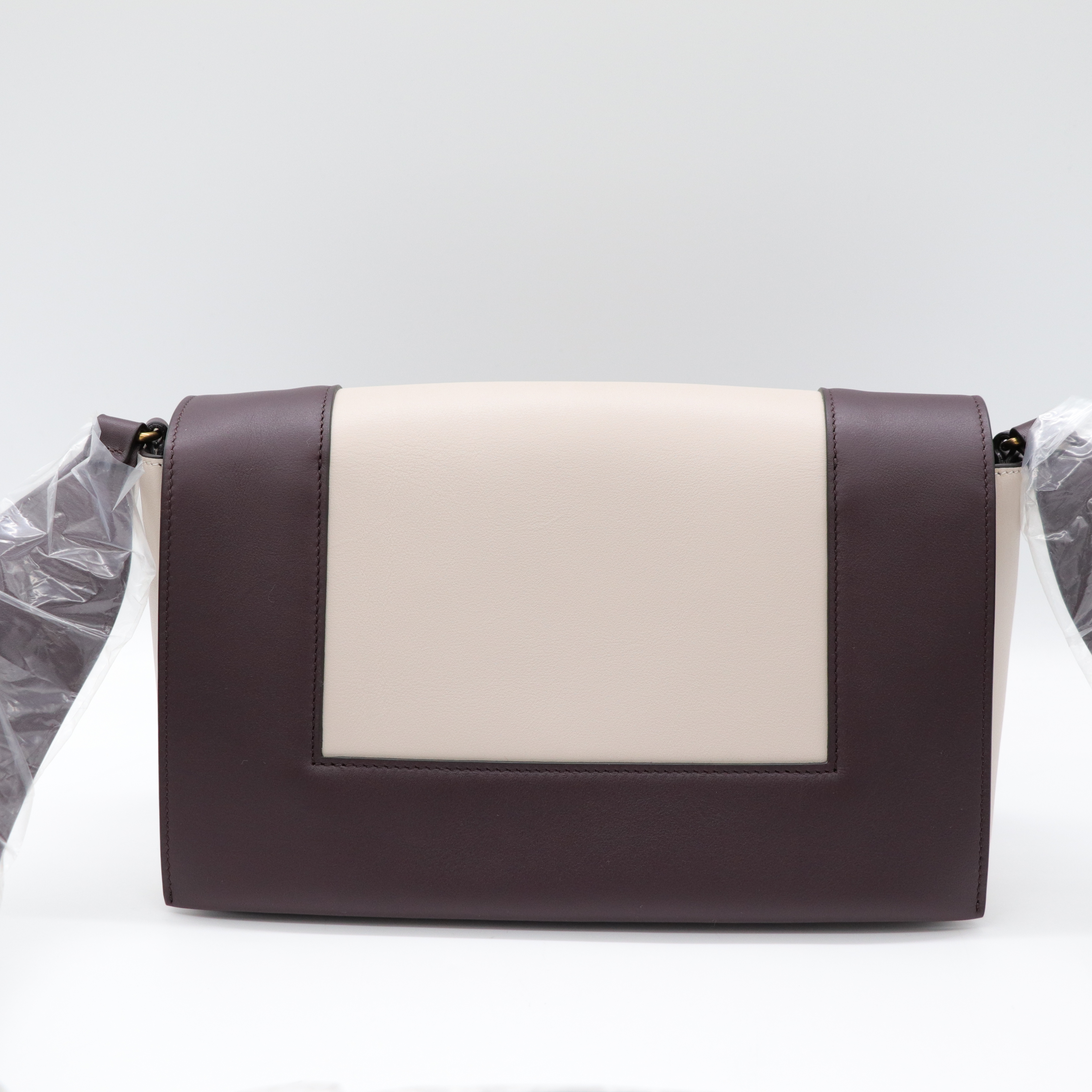 Celine Frame 撞色 小牛皮肩背包-4