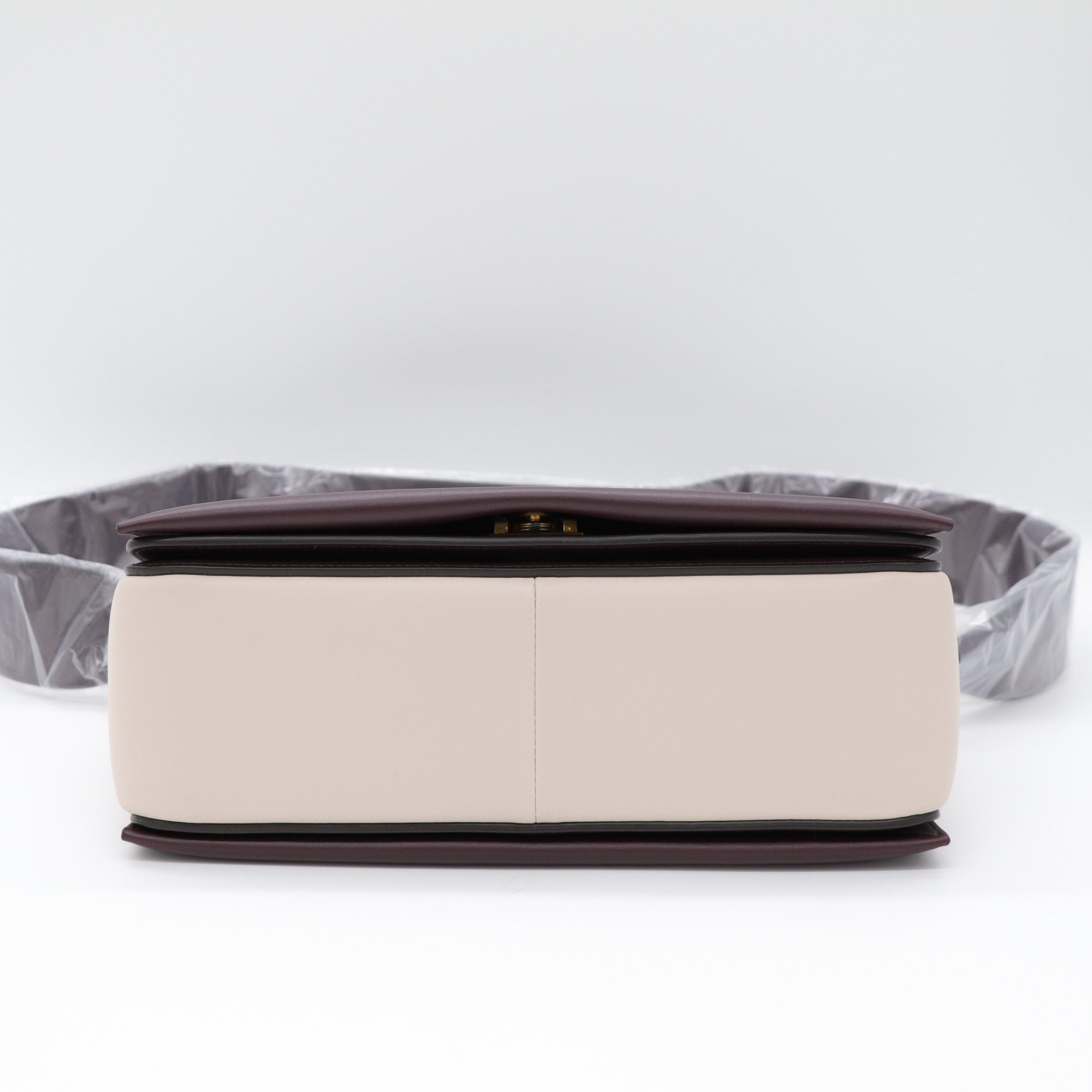 Celine Frame 撞色 小牛皮肩背包-5