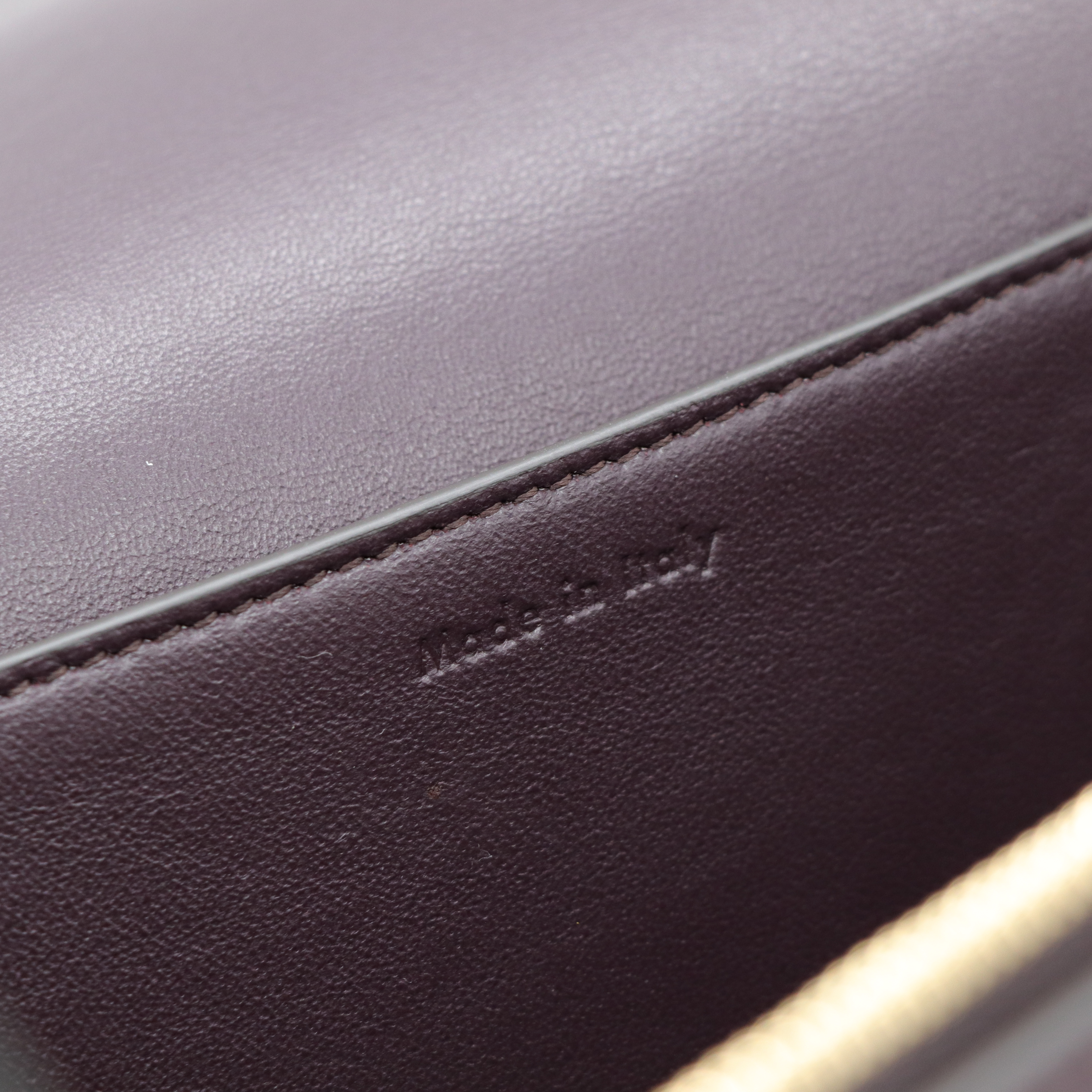 Celine Frame 撞色 小牛皮肩背包-9