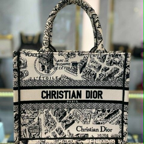 DIOR 刺繡巴黎街頭購物包 小款