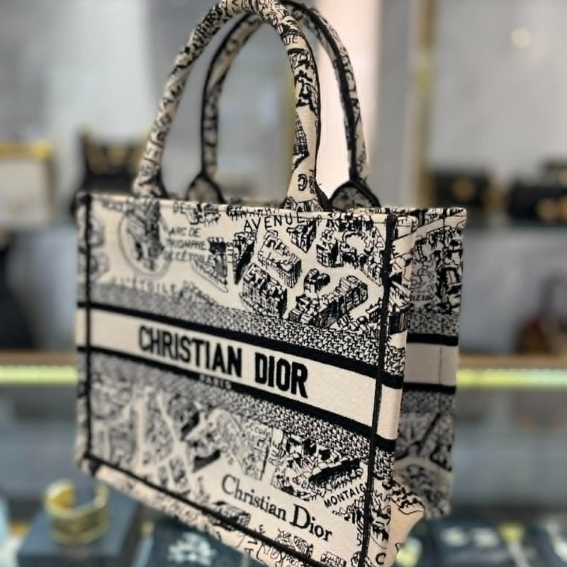 DIOR 刺繡巴黎街頭購物包 小款-1