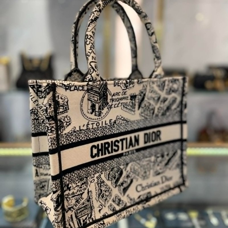 DIOR 刺繡巴黎街頭購物包 小款-2