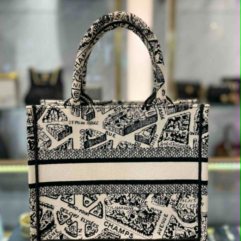 DIOR 刺繡巴黎街頭購物包 小款-3