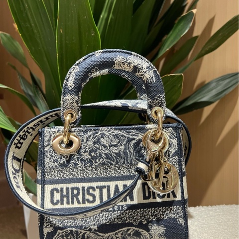 Dior 迪奧99新 戴妃包，藍色動物園刺繡款 幾乎全新，保存好