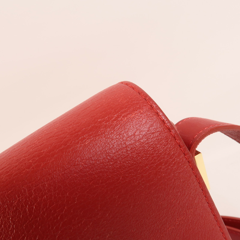 Delvaux 牛皮皮革Madame PM肩背袋-13