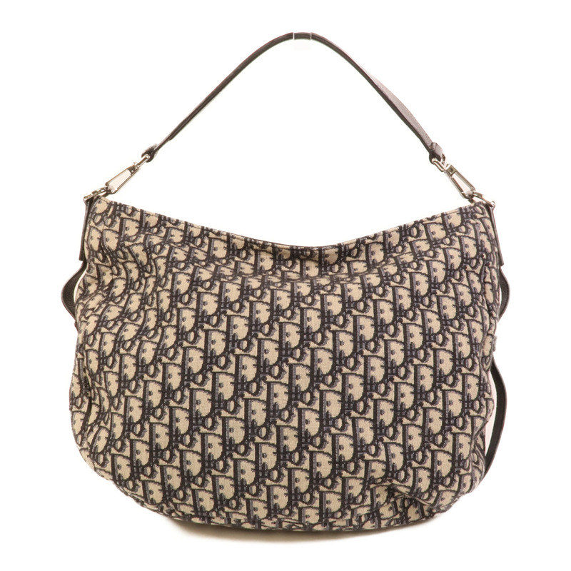 Dior 帆布Saddle手挽肩背兩用袋-1