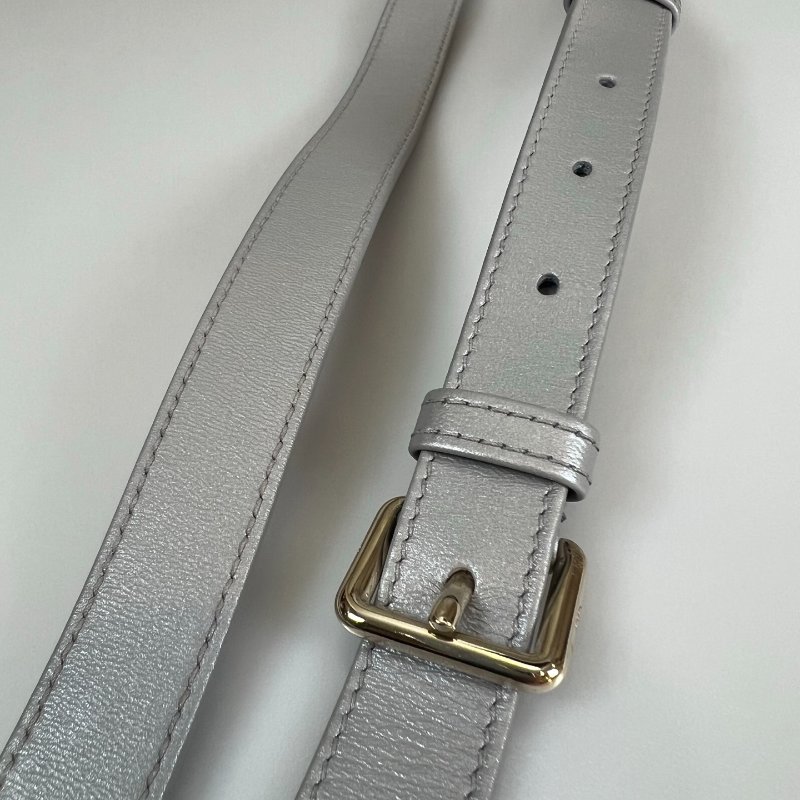 DIOR  灰銀黛妃包5*5 舊版-10