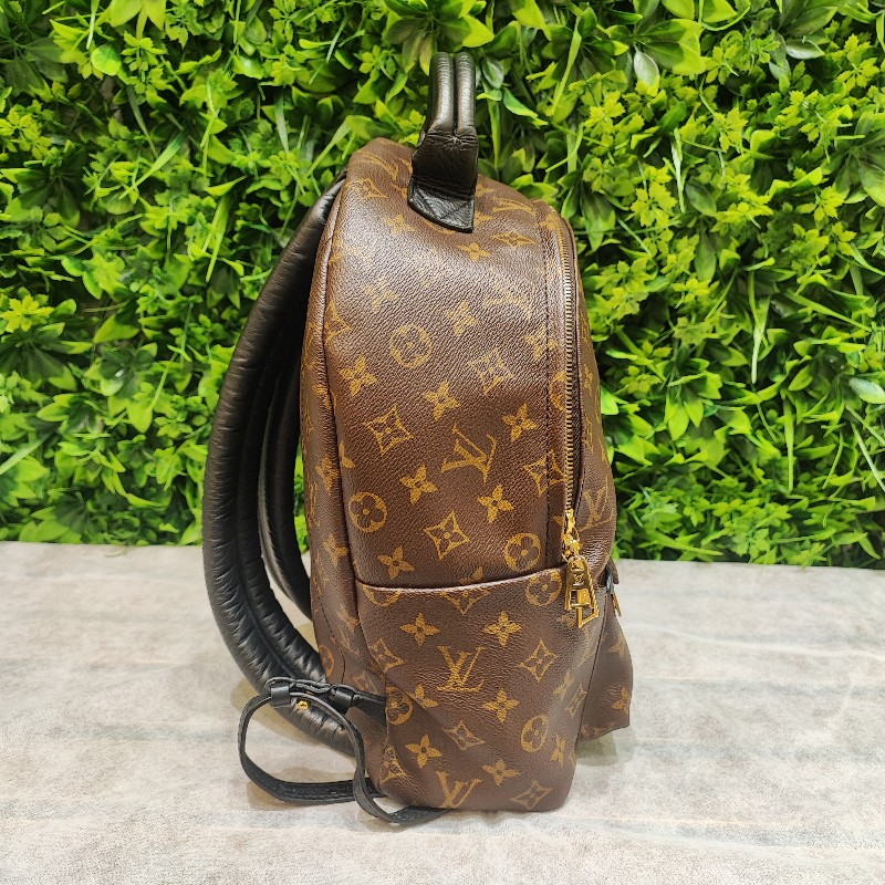 Louis Vuitton Paim Spring MM-2