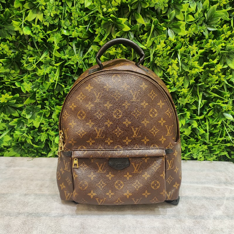 Louis Vuitton Paim Spring MM-5