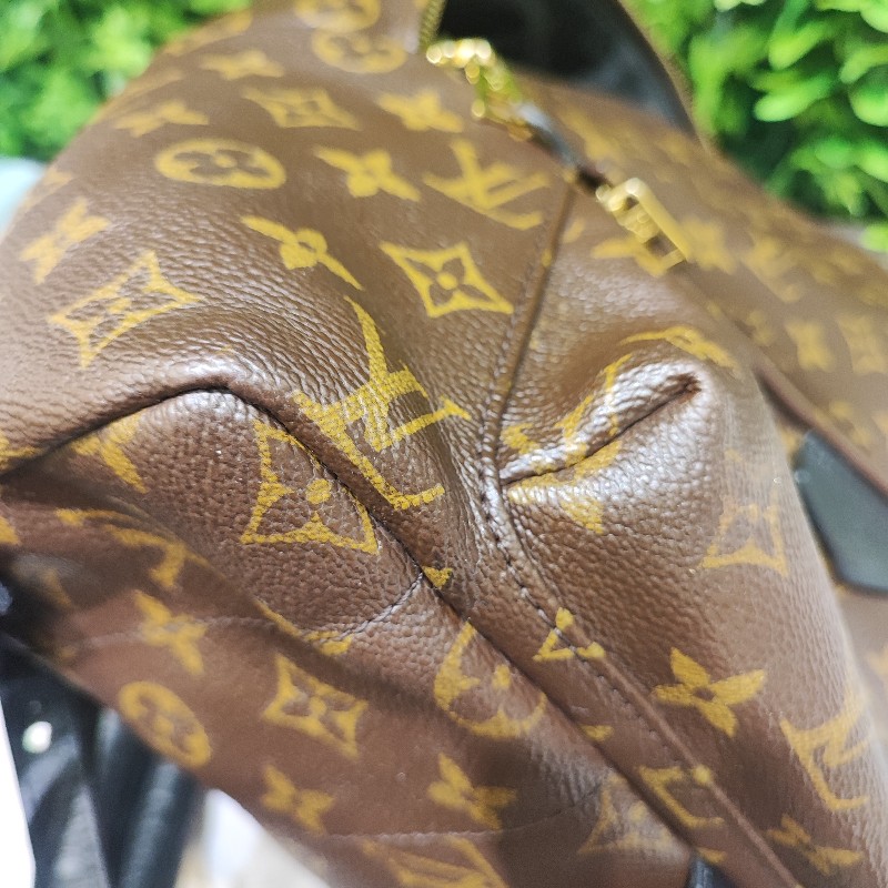 Louis Vuitton Paim Spring MM-8