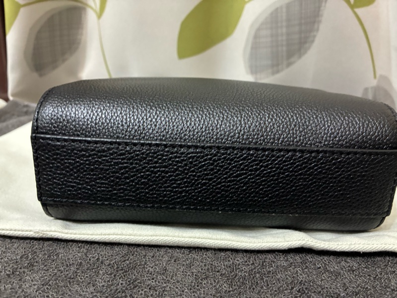 LOEWE 迷你柔軟粒面小牛皮斜背相機包-1