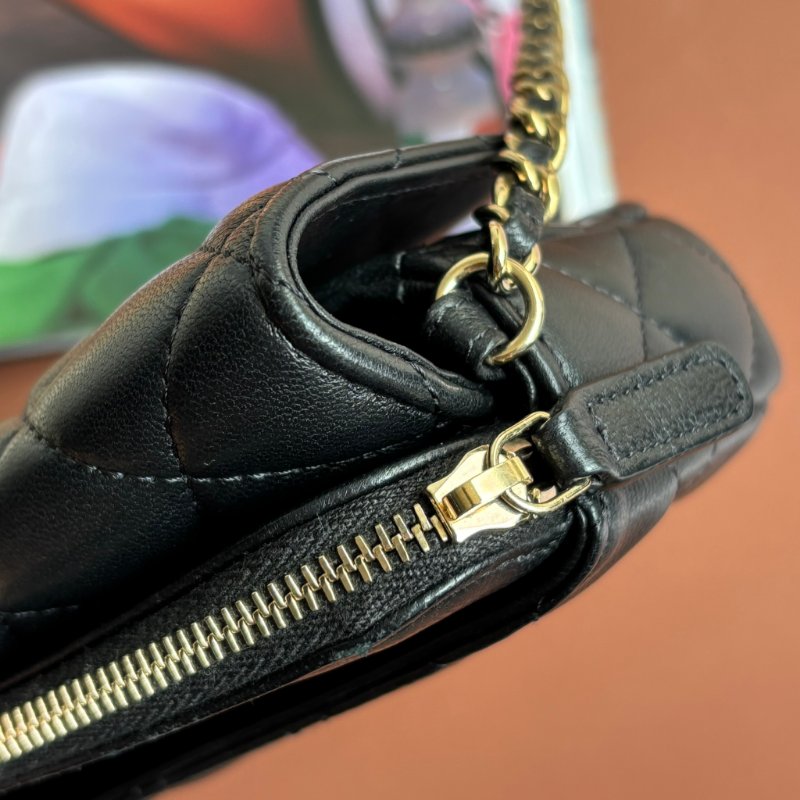 ::Chanel:: Classic Flpa Phone Holder With Chain 經典格紋雙C金釦鍊帶手機包-6