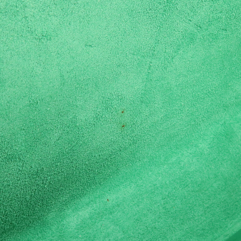 SAINT LAURENT 牛皮皮革Clutch手拿包-14