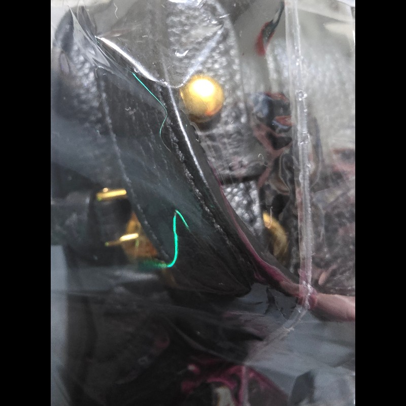 這是一件 Prada Vitello Phenix 黑色荔枝紋牛皮金色金屬標誌相機包。-3