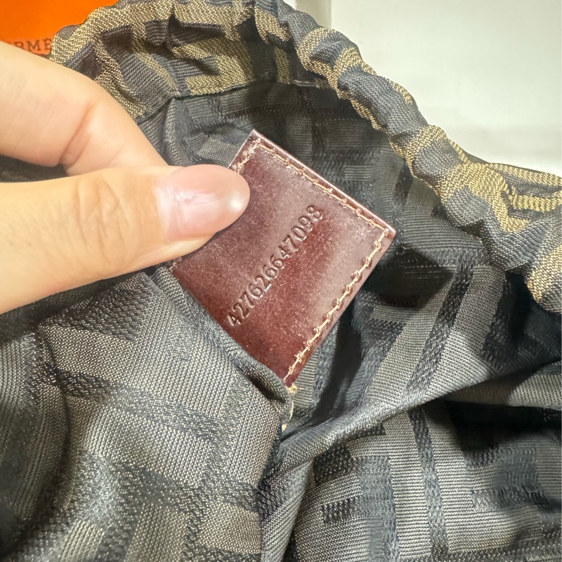 Fendi 手拿水桶-9