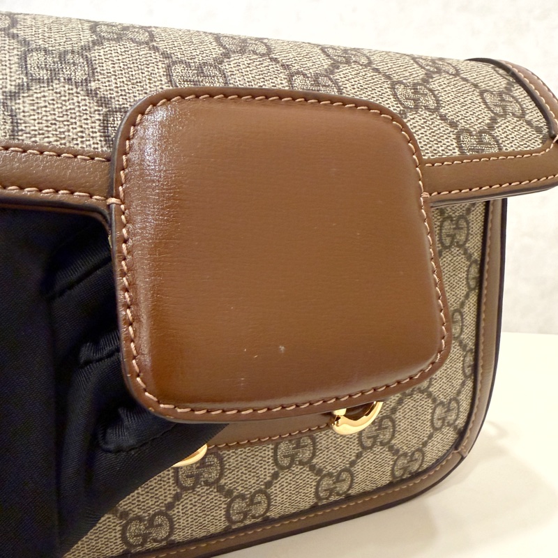 Gucci PVC咖牛皮1955 mini斜背包-12