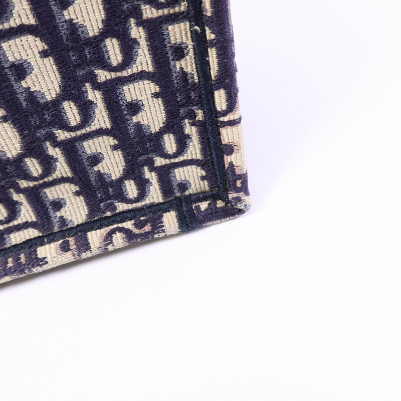 Dior 帆布Book Tote Medium手挽袋-19