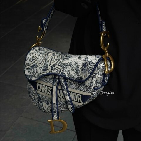 S5430-Dior Saddle刺繡馬鞍包