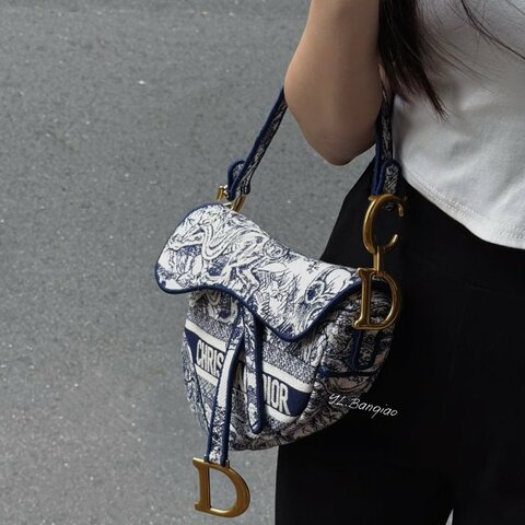 S5430-Dior Saddle刺繡馬鞍包