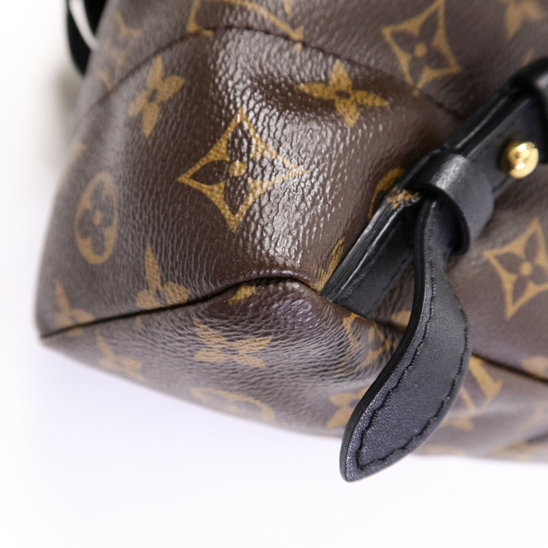 LOUIS VUITTON Monogram Palm Springs PM背包-11