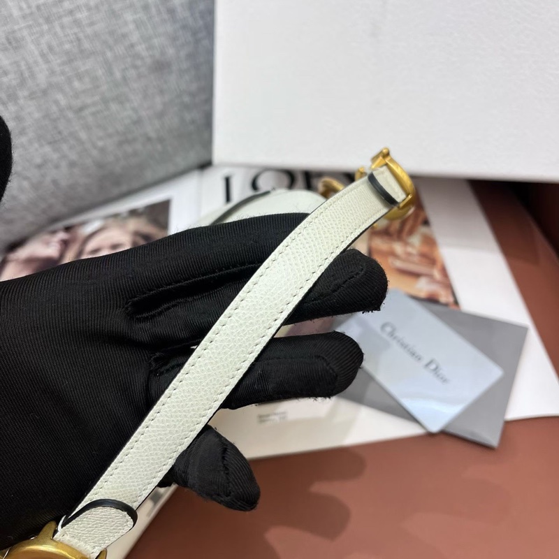 Dior迪奧白金saddle馬鞍包小號 20年無配件-5