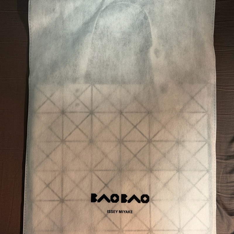 Bao Bao Issey miyake 三宅一生6乘6包包-1