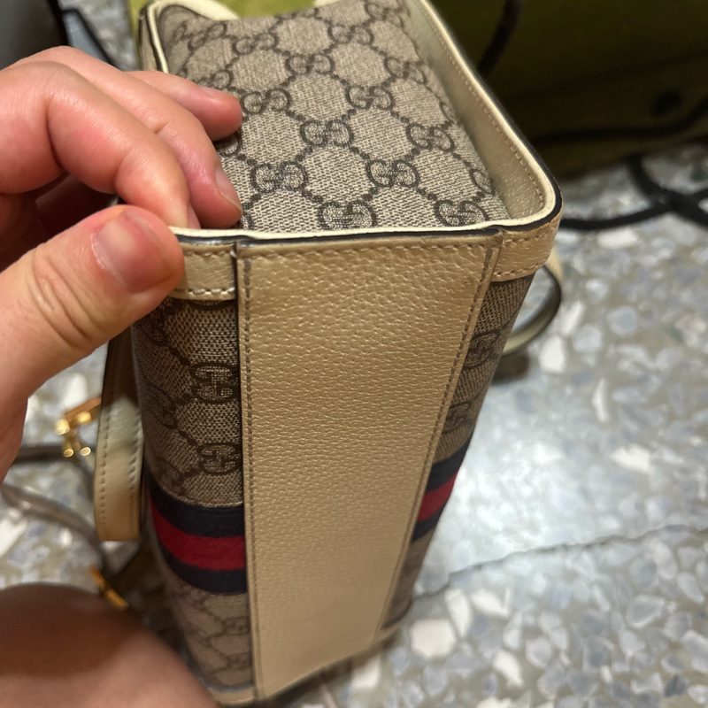 Gucci Ophidia-21