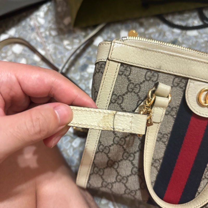 Gucci Ophidia-22