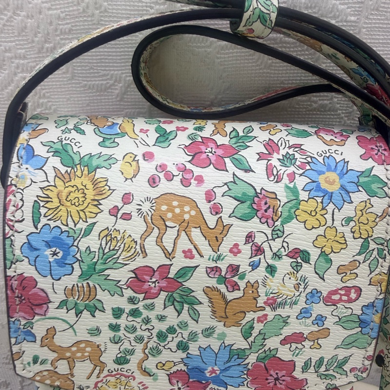 Gucci Limited Edition Bag-4