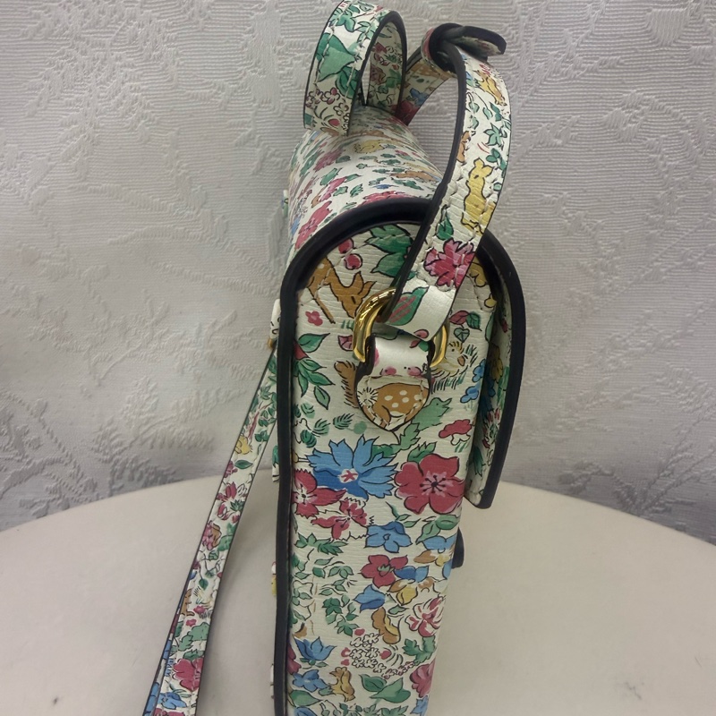 Gucci Limited Edition Bag-7