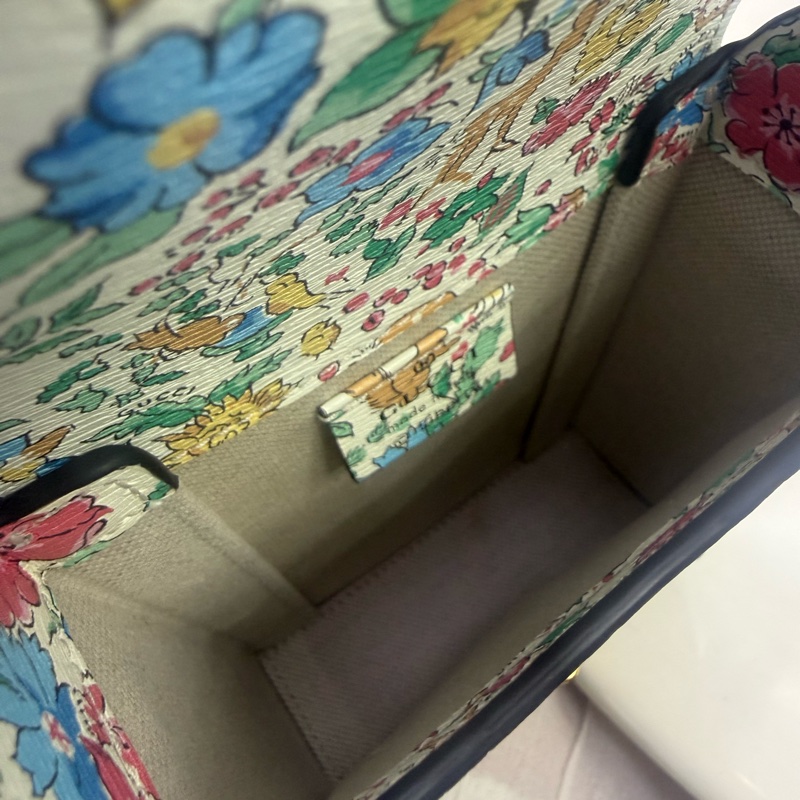 Gucci Limited Edition Bag-11