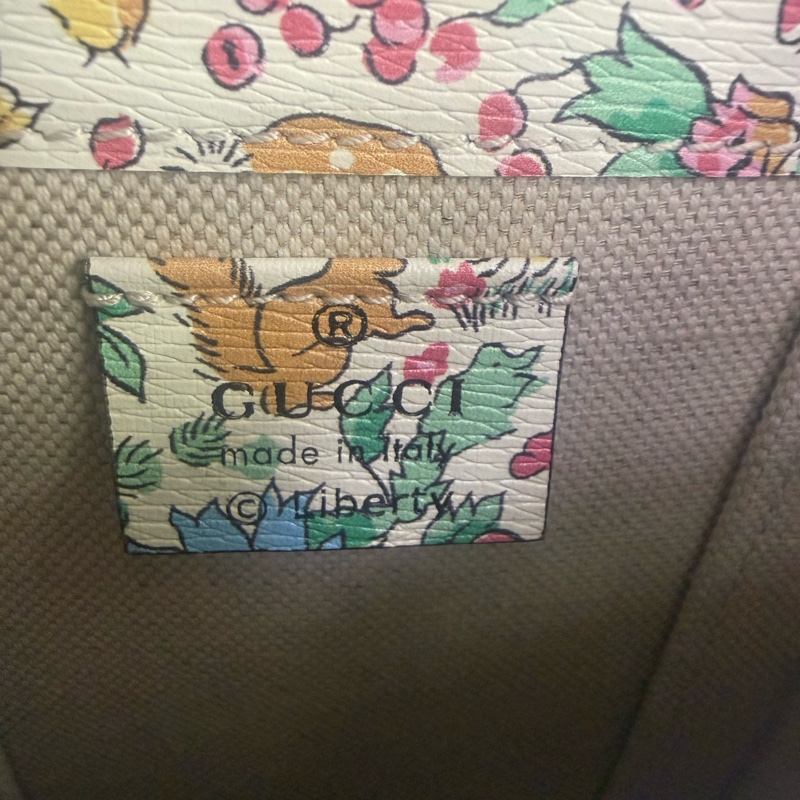 Gucci Limited Edition Bag-12