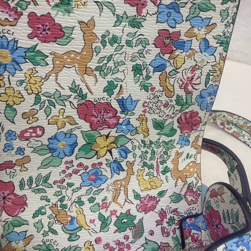 Gucci Limited Edition Bag-13