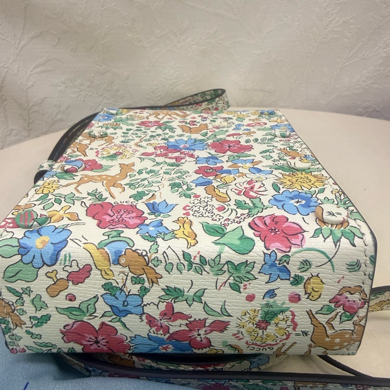 Gucci Limited Edition Bag-17