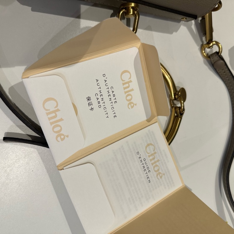 Chloé Small Nile Bracelet Bag-14