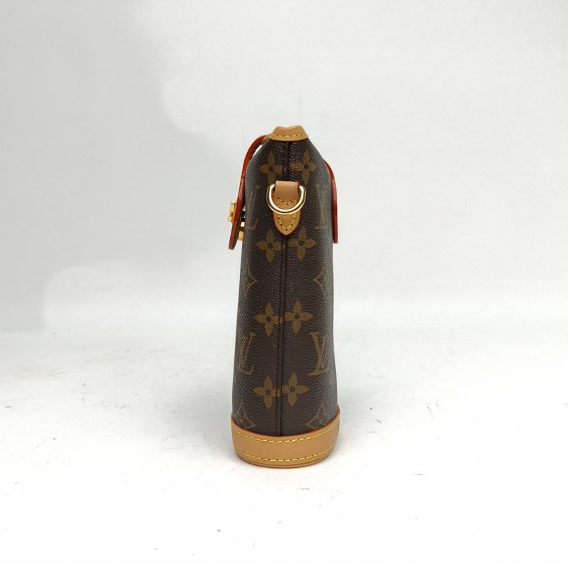LOUIS VUITTON Foldme薯條包老花PVC晶片肩背包-1