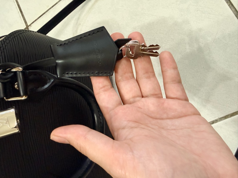 LV Alma bb epi 黑銀-2