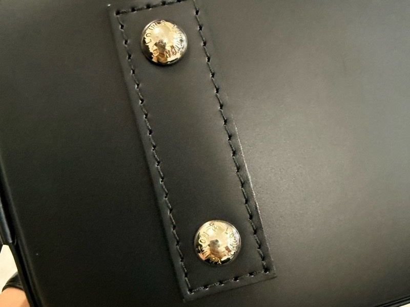 LV Alma bb epi 黑銀-12
