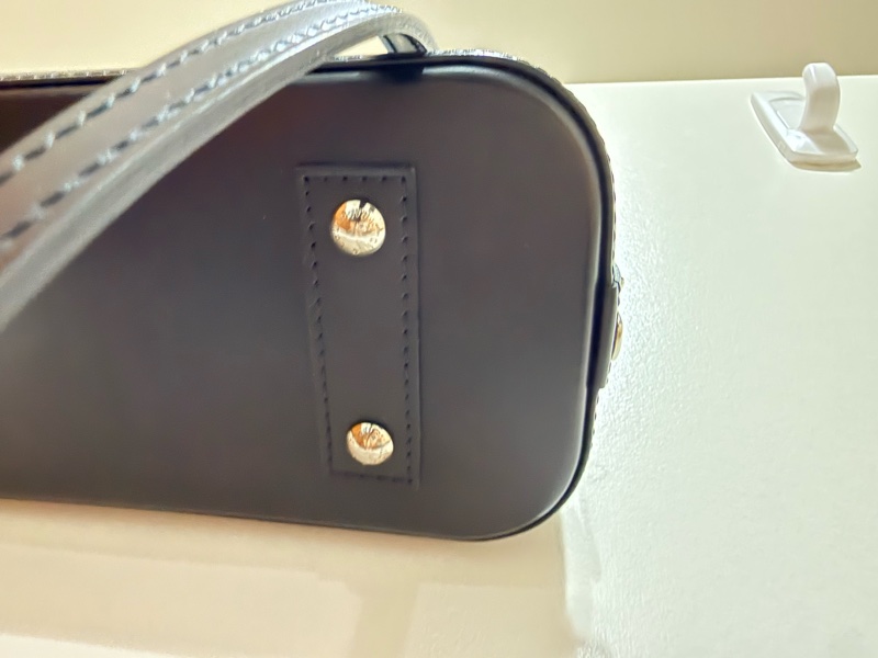 LV Alma bb epi 黑銀-13