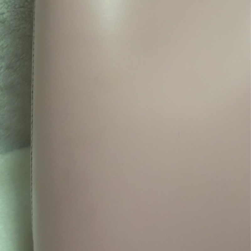▫️少見款甜妹必備▫️Ferragamo菲拉格慕HOBO肩背腋下包櫻花粉包包-38