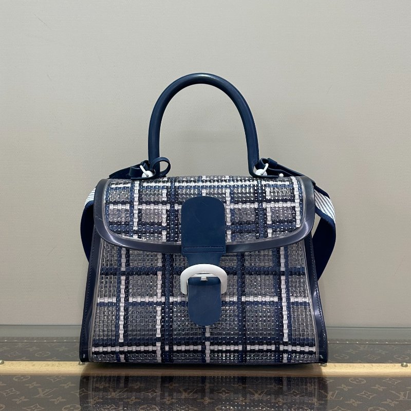 DELVAUX 限量藍格果凍透明手提肩背包28.5*22*14 98新配件塵袋-1