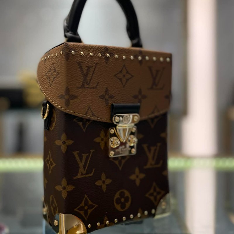LV Camera Box兩用包 晶片款-1