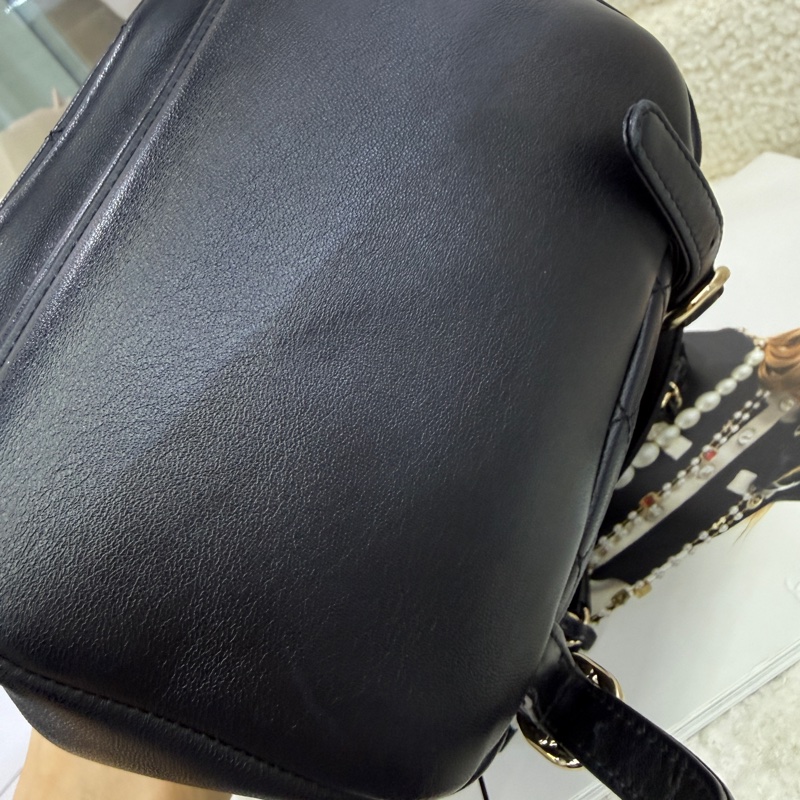 Chanel 香奈兒雙肩背包duma 小號-11