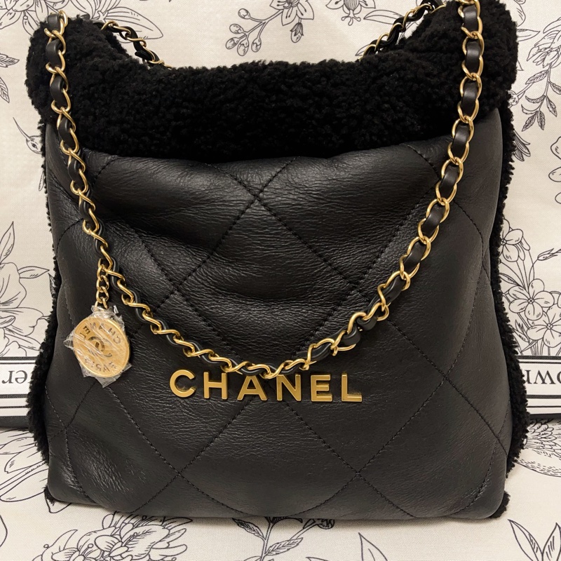 Chanel 皮毛一體22Bag-1