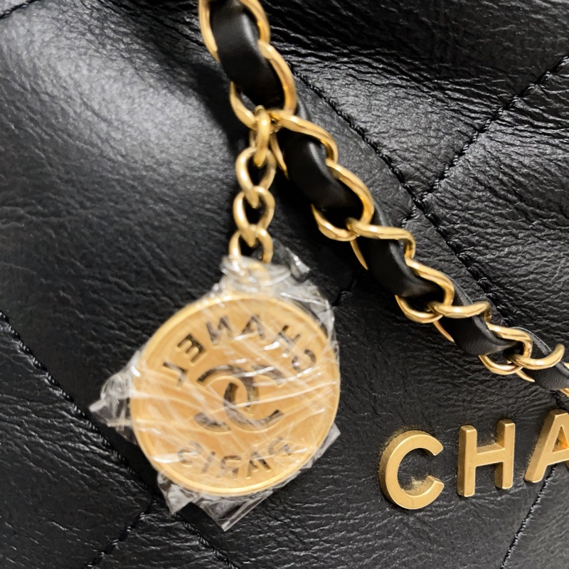 Chanel 皮毛一體22Bag-3