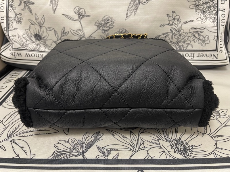 Chanel 皮毛一體22Bag-8