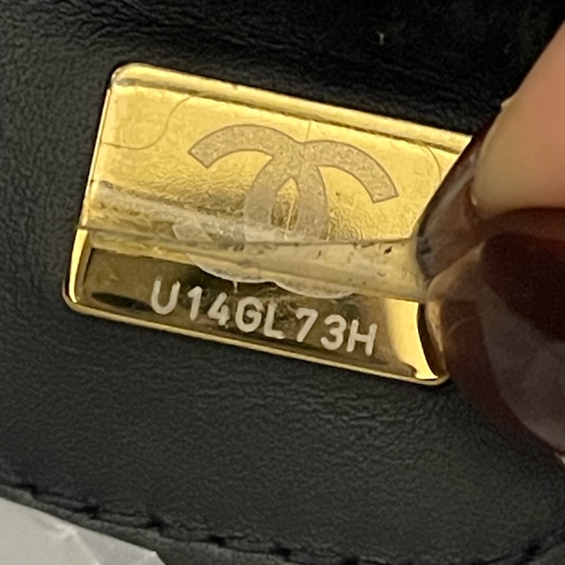 Chanel 皮毛一體22Bag-13