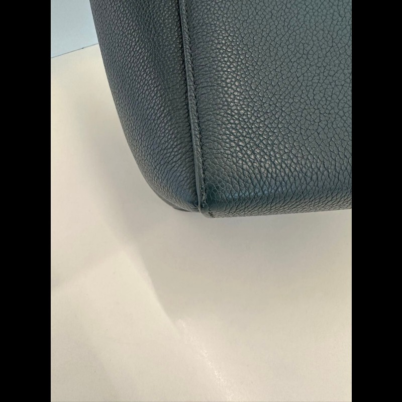 Celine Sangle small-5