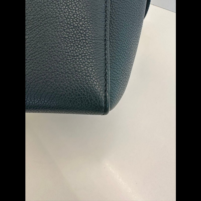 Celine Sangle small-16